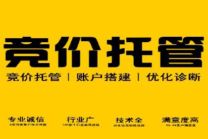 案例解读：SEO与SEM优化助力电商崛起